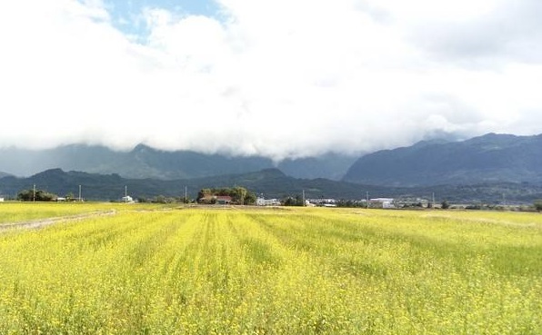 土壤水勢(shì)測(cè)定儀